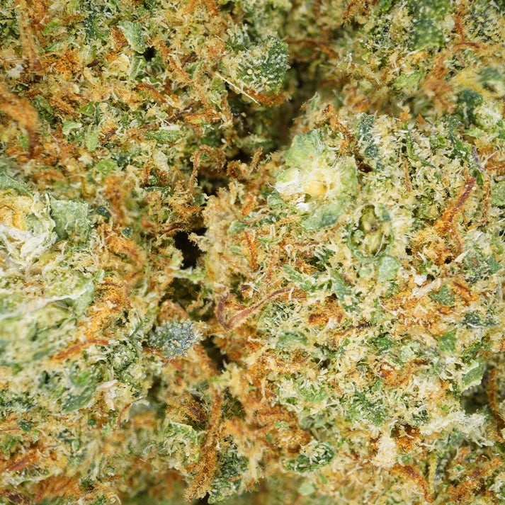 Mandarine ( Hydro )